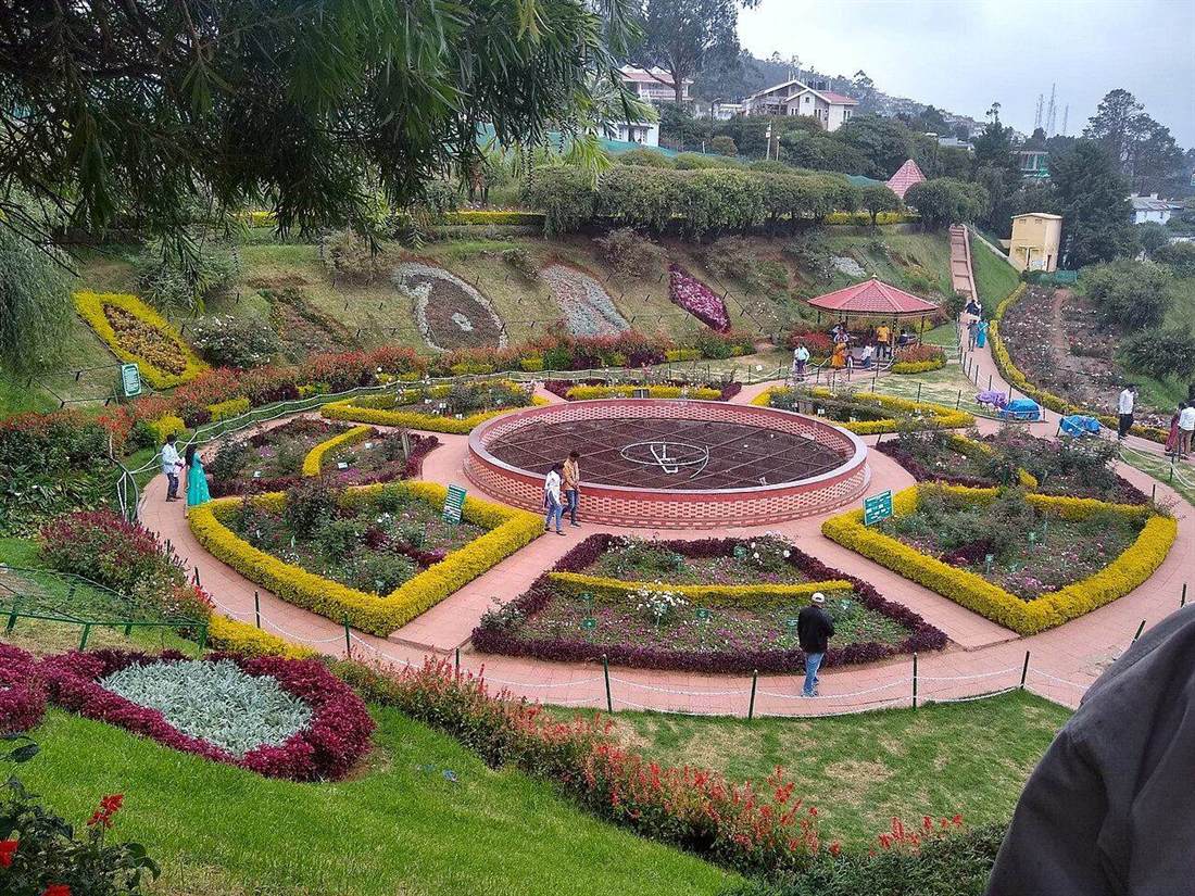 Government Rose Garden, Ooty